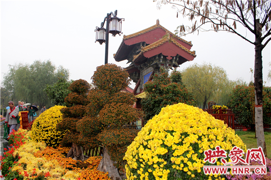 天好、花美 中國開封第32屆菊花文化節(jié)延長一周