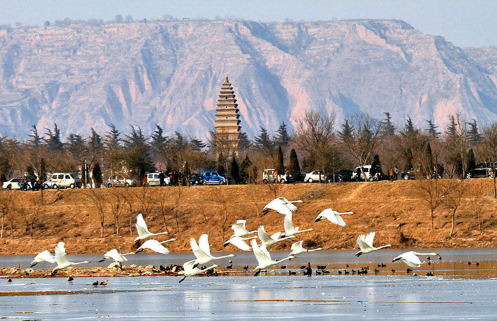 5月19日，“中國(guó)旅游日”河南分會(huì)場(chǎng)活動(dòng)將在天鵝之城——三門峽舉辦。
