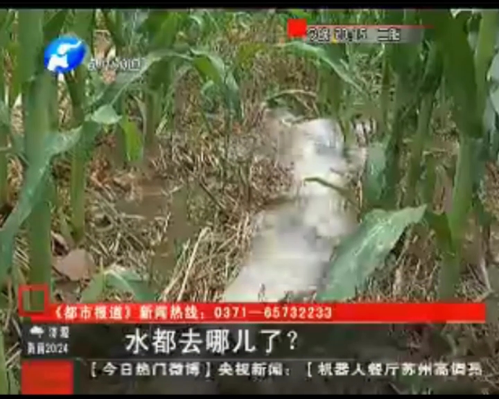 水都去哪了？
