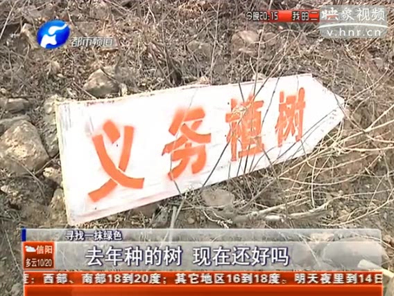 去年種的樹(shù) 現(xiàn)在還好嗎？