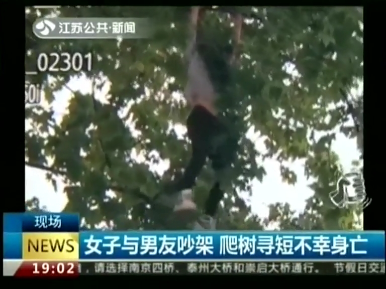 女子與男友吵架 爬樹(shù)尋短不幸身亡