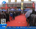 倡導(dǎo)文明行車 免費發(fā)放私家車專屬車標
