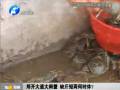鄭開大道大閘蟹 缺斤短兩何時休？