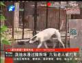 澆地水漫過(guò)賭狗場(chǎng) 六旬老人被打死