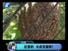 這看的 頭皮發(fā)麻呀！-打漁曬網(wǎng)